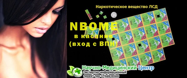 стаф Богородск
