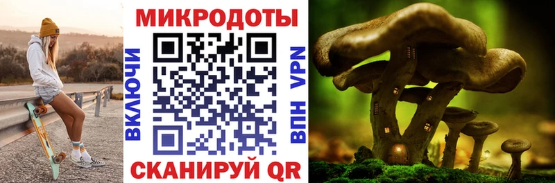 купить  сайты  Шлиссельбург  omg ссылка  Псилоцибиновые грибы MAGIC MUSHROOMS 